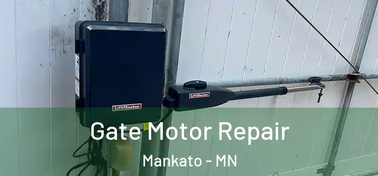 Gate Motor Repair Mankato - MN